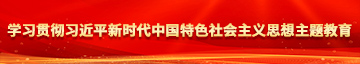 91骚B学习贯彻习近平新时代中国特色社会主义思想主题教育